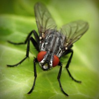 /album/juan-lopez-hernandez-fa1009689/photolia-a01-jpg/