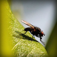 /album/juan-lopez-hernandez-fa1009689/photolia-a04-jpg/