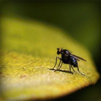 /album/juan-lopez-hernandez-fa1009689/photolia-a07-jpg/