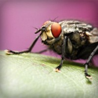 /album/juan-lopez-hernandez-fa1009689/photolia-a08-jpg/